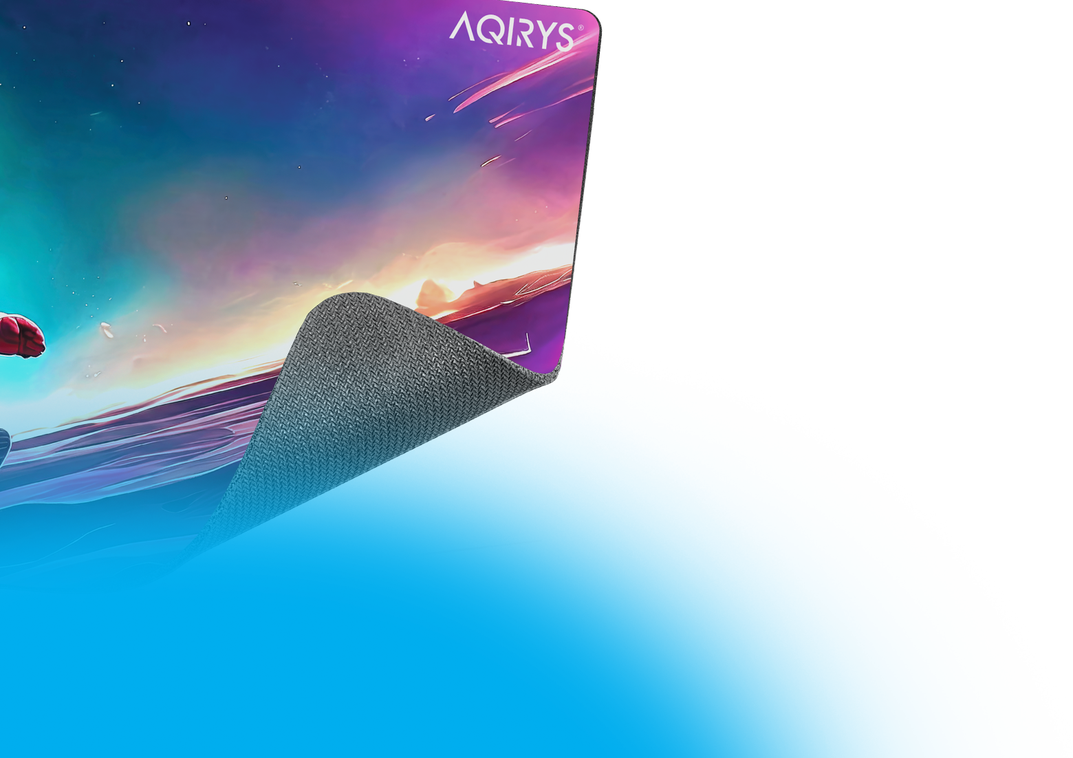 Gordonia Extra Large