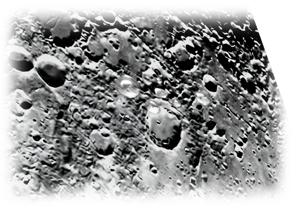 Vesta Extra Large