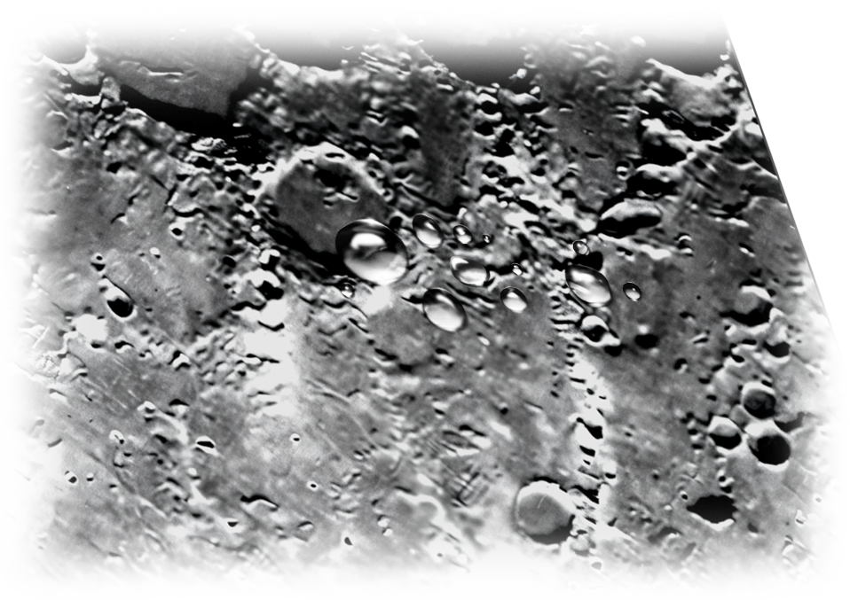Vesta Medium